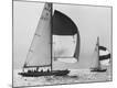 Photographic Print