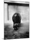 Premium Photographic Print
