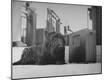 Photographic Print