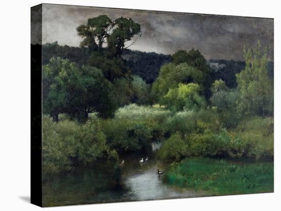 Stretched Canvas Print, , large