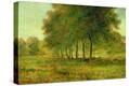 Stretched Canvas Print