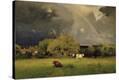 Stretched Canvas Print