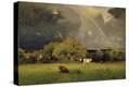 Stretched Canvas Print