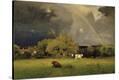 Stretched Canvas Print