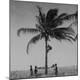 Photographic Print