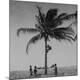 Photographic Print