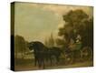 Stretched Canvas Print
