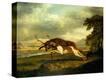 Stretched Canvas Print