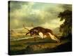 Stretched Canvas Print