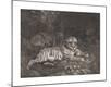 Premium Giclee Print