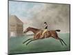 Premium Giclee Print
