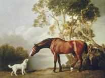 Two Horses Communing in a Landscape by George Stubbs-George Stubbs-Giclee Print