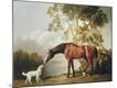 Premium Giclee Print