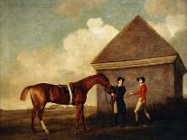 A Bay Hunter, a Springer Spaniel and a Sussex Spaniel, 1782-George Stubbs-Framed Giclee Print