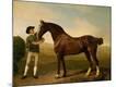 Premium Giclee Print