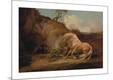 Premium Giclee Print