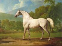 Two Horses Communing in a Landscape by George Stubbs-George Stubbs-Giclee Print