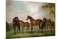 Giclee Print