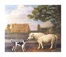 Premium Giclee Print