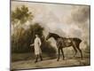 Giclee Print