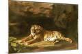Premium Giclee Print