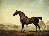 Marske', a Dark Bay Racehorse, in a Rocky River Landscape-George Stubbs-Giclee Print