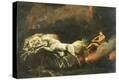 Stretched Canvas Print