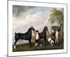 Premium Giclee Print