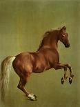 Bay Horse and White Dog-George Stubbs-Art Print