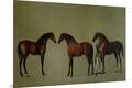 Premium Giclee Print