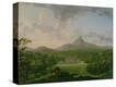Stretched Canvas Print