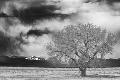 Premium Photographic Print