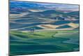 Premium Photographic Print