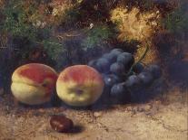 Peaches and Grapes, 1864-George Walter Harris-Framed Giclee Print