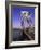 George Washington Bridge, NY-Barry Winiker-Framed Photographic Print