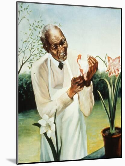 George Washington Carver-null-Mounted Photographic Print