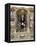 George Washington, Freemason-Science Source-Framed Premier Image Canvas