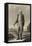 George Washington-null-Framed Premier Image Canvas