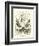 George Washington-null-Framed Giclee Print