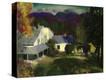 Stretched Canvas Print