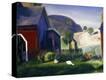 Stretched Canvas Print