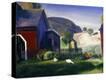 Stretched Canvas Print