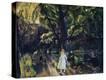Stretched Canvas Print