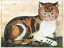 Folk Art: Cat-George White-Mounted Giclee Print