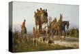 Stretched Canvas Print