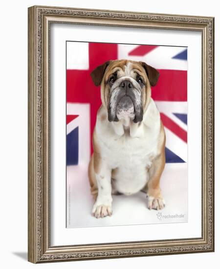 George-Rachael Hale-Framed Art Print