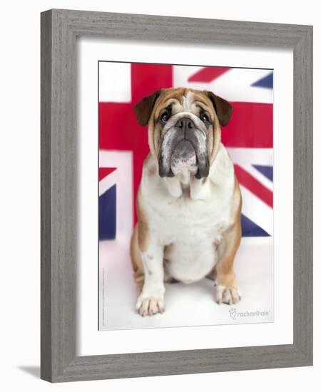 George-Rachael Hale-Framed Art Print