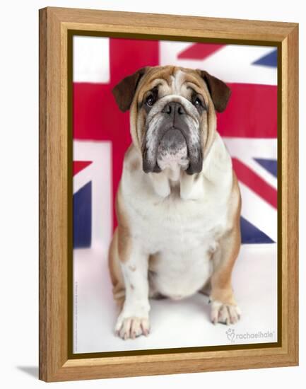 George-Rachael Hale-Framed Premier Image Canvas