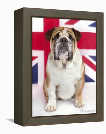 George-Rachael Hale-Framed Premier Image Canvas