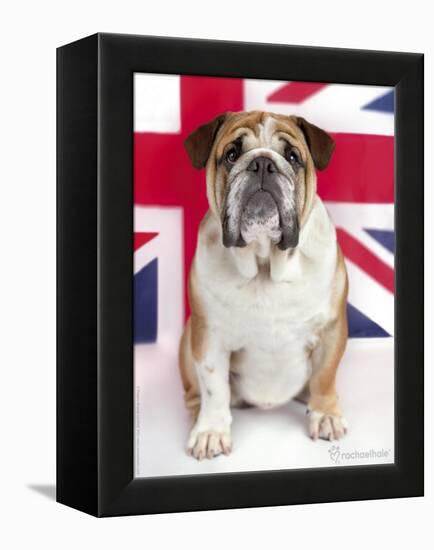 George-Rachael Hale-Framed Premier Image Canvas